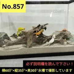 Item thumbnail for item 0043e10e-8c8d-4d10-8722-8aedf756b275