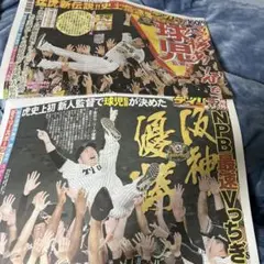 2025阪神タイガース　セ・リーグ優勝　デイリースポーツ号外&翌日関東版