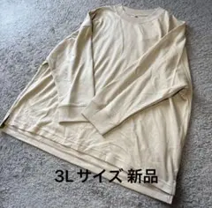 七分袖 未使用 綿