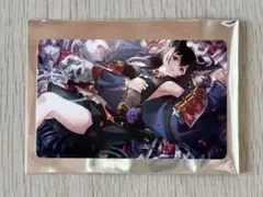 グラブル GBVSR トレーディングカード TGS ニーア