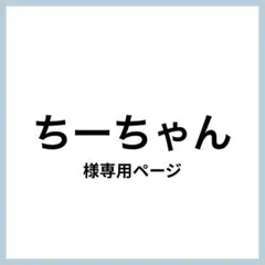 ちーちゃん様 リクエスト 2点 まとめ商品