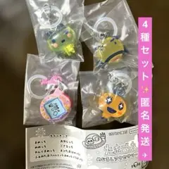 たまごっち　めじるしアクセサリー３　おやじっち　やんぐまめっち　めめっち