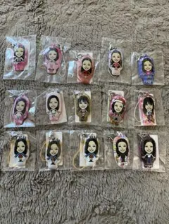 石井杏奈　日本製クリーナー①