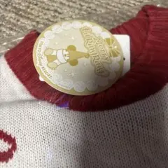 すぐ発送。東京ディズニーリゾート リルリンリン セーター TDR クリスマス