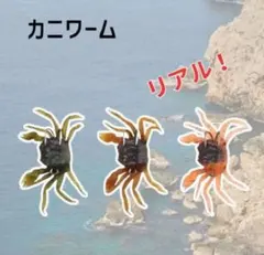 Item thumbnail for item f6274f9f-3660-464f-b5cc-452ccde7e371