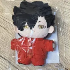 いつぬい いつぬいふぃっくす ハイキュー 孤爪研磨 - メルカリ