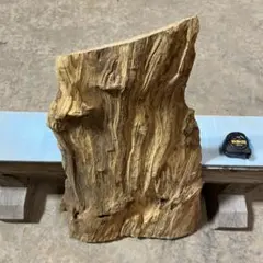 Item thumbnail for item 5234731f-b3ba-43de-abf6-d7e65ca799cf