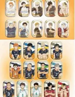 ハイキュー スクエア缶バッジ クールダウン おすわり 全種類セット 7net