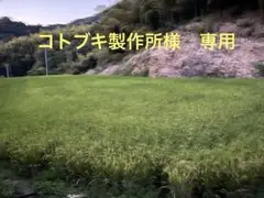 鉄道ピクトリアル1966.7月臨時号