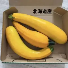 北海道産　イエローズッキーニ　無農薬　朝採れのサムネイル