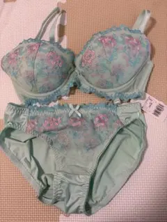 トリンプブラジャーD65-M