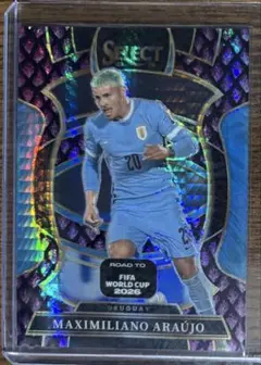 panini select アラウホ