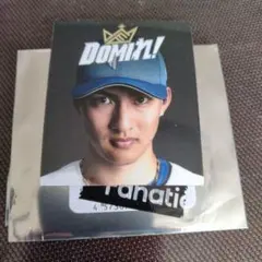 あーやん様専用　達孝太選手マグネットシート