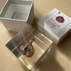 ウサギノネドコ