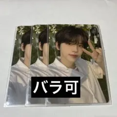 シニュ　トレカ