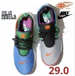 未使用　BEAMS40周年　NIKE AIR PRESTO　マルチカラー　29
