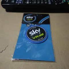 SKY RACING TEAM VR46 ラバーキーホルダー