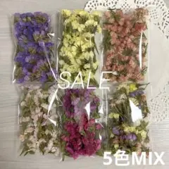 【希少カラー＊5袋】スターチス＊花材＊ヘッド＊ドライフラワー＊ハンドメイド＊素材