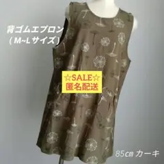 Item thumbnail for item 2a0c76fa-1b08-48e6-9b73-f67d9aae6f16