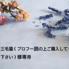 最安値！❣️早い者勝ち❣️ 2個セット 高見え ヘアクリップ ゴールド•シルバー