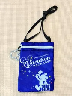 【新品未使用】ディズニーバケーションパッケージ　ショルダーバッグ