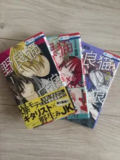 少女漫画 野良猫と狼 3巻セット
