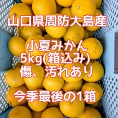 訳あり！産地直送 広島県蒲刈産レモン5kg - メルカリ