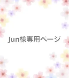 Jun様 リクエスト 2点 まとめ商品