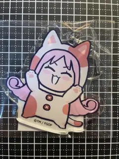 2026年最新】Fate/Grand Order 藤丸立香はわからない アクリル