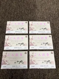 たまゆらの杜　ご入浴券　11枚セット 2026年最新】たまゆらの杜 入浴券の人気アイテム - メルカリ