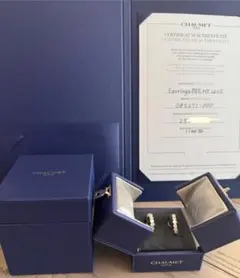 Item thumbnail for item 1b1c8d1f-c868-4504-807c-3201cbe4ccec