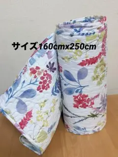 Item thumbnail for item a2414a60-4bdd-4811-a7f8-be1a5101ee06