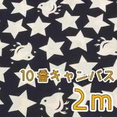 ★大特価★10番キャンバス2ｍ　ほしとちどり　ブラック　コットンこばやし