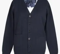 Item thumbnail for item 9bbaaee3-6b14-42a0-a614-11ddf6f89499