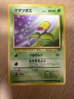 ポケモンカード マダツボミ 旧裏面