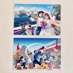 【希少】東京ディズニーシー ポストカード 2006年 お正月 2枚セット