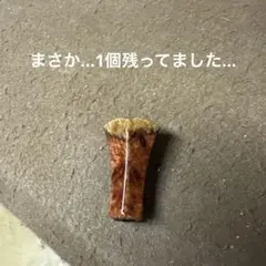 2026年最新】スプリームスタイル ノブの人気アイテム - メルカリ