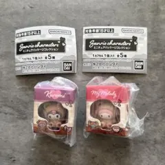 サンリオキャラクターズ　ミニチュアパッケージコレクション　クロミ　マイメロディ