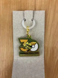 ポケモン ポケチャーム30周年ロゴマスコット ゼラオラ