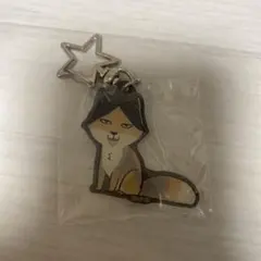 アニマルアクリルキャンディチャーム　角名倫太郎 ハイキュー