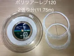 ポリツアーレブ