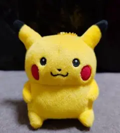 ナガノ ポケモン ぬいぐるみ ピカチュウ ナガノ×ポケモン限定コラボ 24じかんポケモンchu ピカチュウ