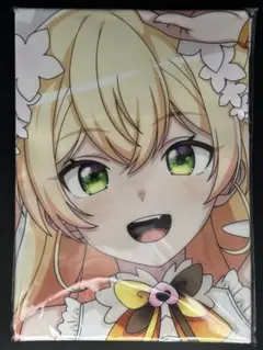 Item thumbnail for item 6bd381e2-0cc4-499c-8845-69f7e757dc12