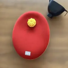 【未使用品】 CLO’Z クロッツ やわらか湯たんぽ足用 歩ける湯たんぽ Amazon.co.jp: CLO'Z やわらか 湯たんぽ 足用 ショートタイプ