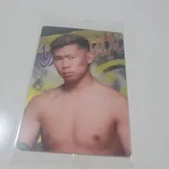 RIZIN ウエハースカード 矢地祐介
