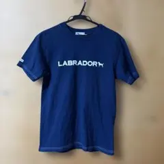 日本製 ラブラドールレトリバー Tシャツ M 黒ラブ　ニューイングランド　日本製のサムネイル