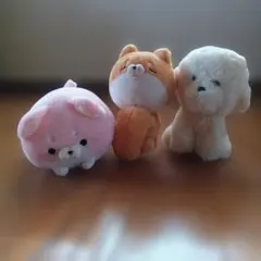 ぬいぐるみセット 犬