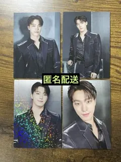 SEVENTEEN RIGHT HERE イルコン トレカ ディノ 4点セット