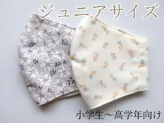 #829　ジュニアサイズ布マスク【選べる平ゴムタイプ】デコレクションズ