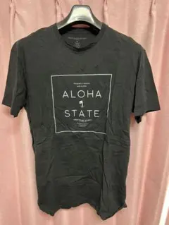 ハワイアーバンローカルソサイティーズ　Tシャツ